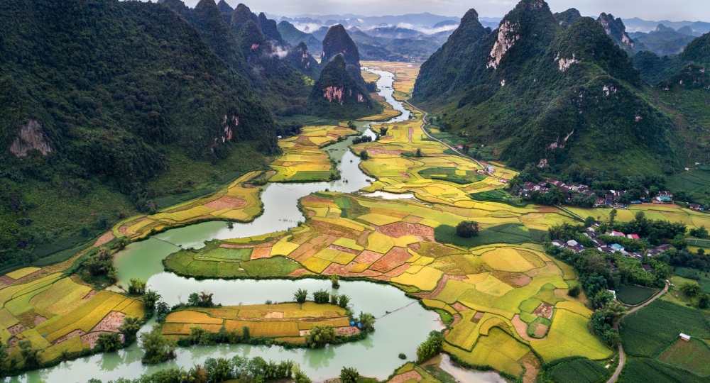 Vietnam