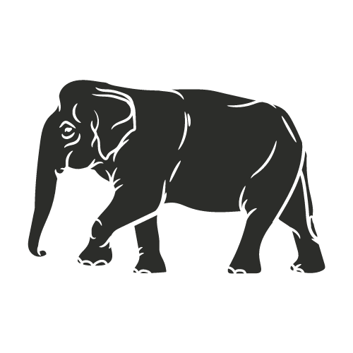 Asian Elephant