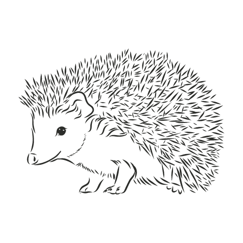 Hedgehogs