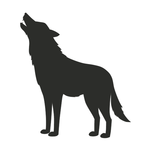 Iberian Wolf