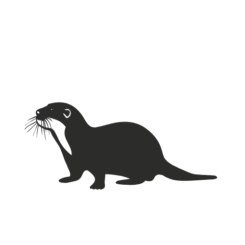 European Otter