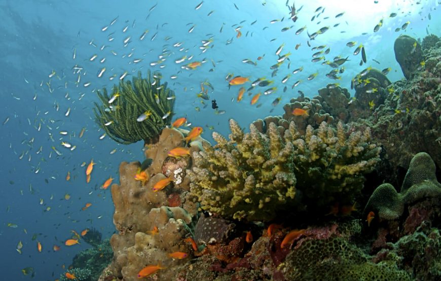 Discover the Picturesque Andaman gallery