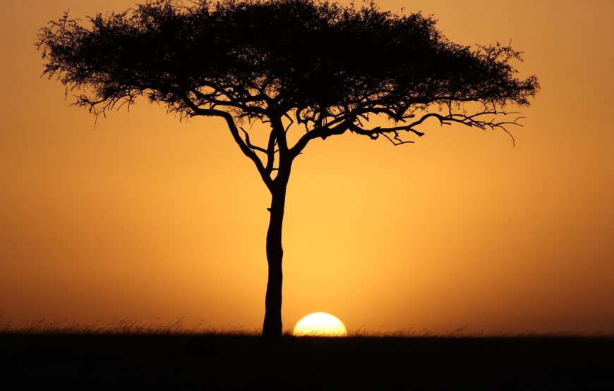 Safari Dreams Come True: Classic Kenya Tour Packages by GT Holidays gallery