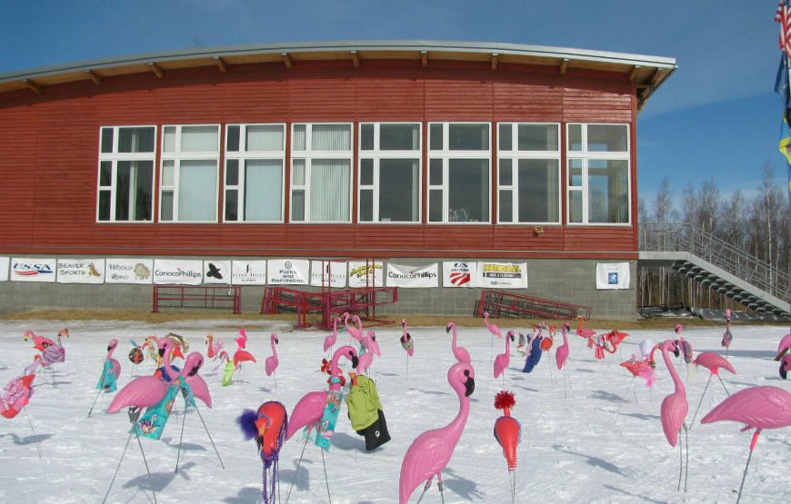 Discovering Alaska’s Beauty: McKinley Explorer Adventure with GT Holidays gallery