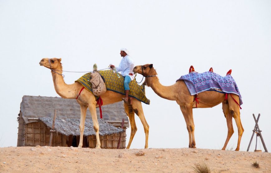 Adventure Desert Safari Tour