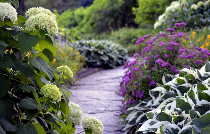 Geneva Free and Easy gallery