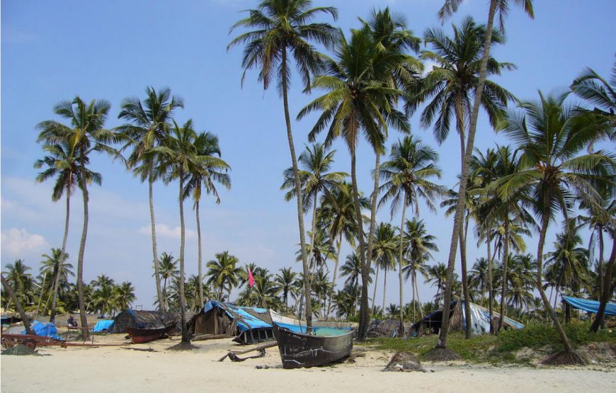 Dazzling Goa Special Offer Package gallery