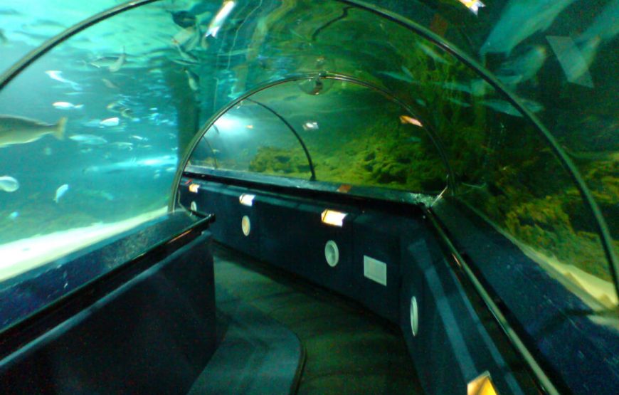 Guide to Spectacular New Zealand Tour | Itinerary gallery