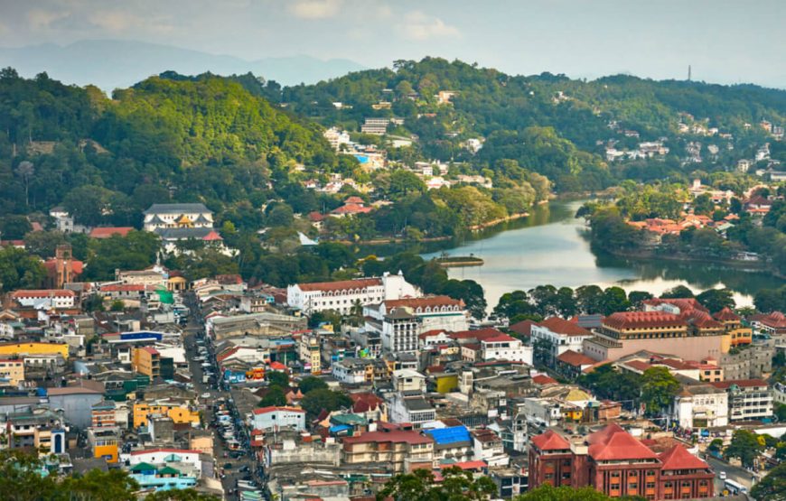 Visiting Kandy- Nuwara Eliya- Colombo Tour gallery