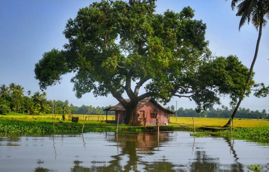 Marvelous Kerala with Alleppey gallery