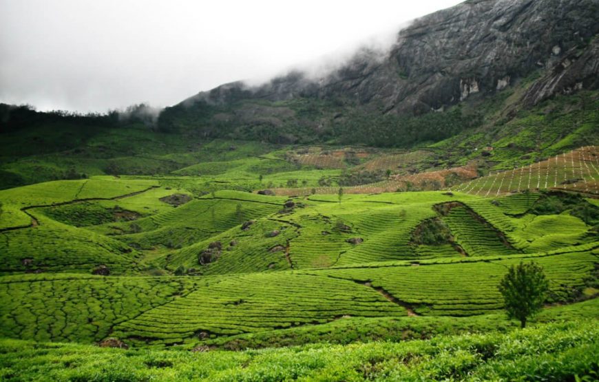 Enchanting Kerala 6 Days/ 7 Nights gallery