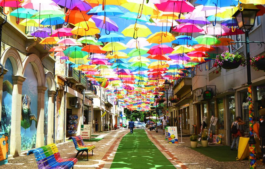 Mahe Island Unveiled: Your Ultimate Holiday Package gallery