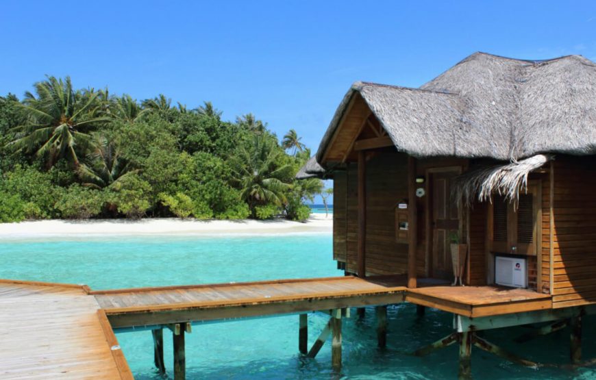 Amazing Maldives Honeymoon Delight gallery