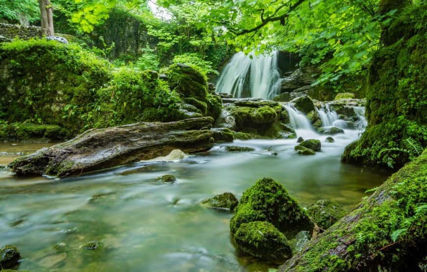 Mesmerizing New Zealand Tour gallery