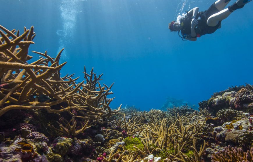 Seychelles Family Adventure: Unforgettable Moments Await gallery