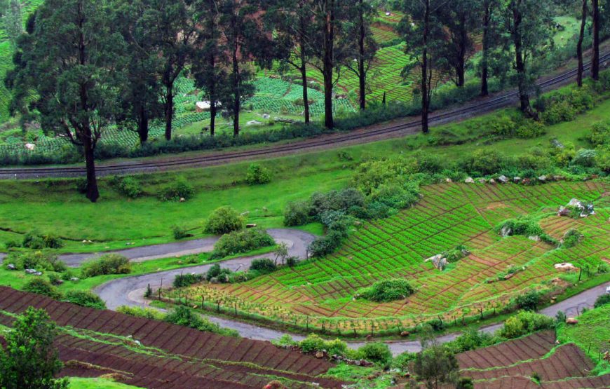 A Vivifying Vacation to Ooty and Wayanad gallery