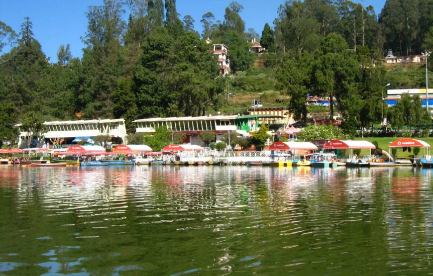 A Vivifying Vacation to Ooty and Wayanad gallery